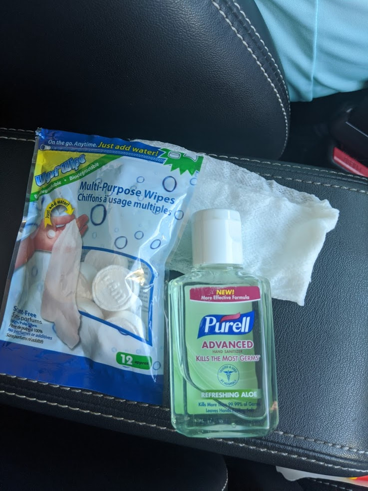 image of travel pack with purell 